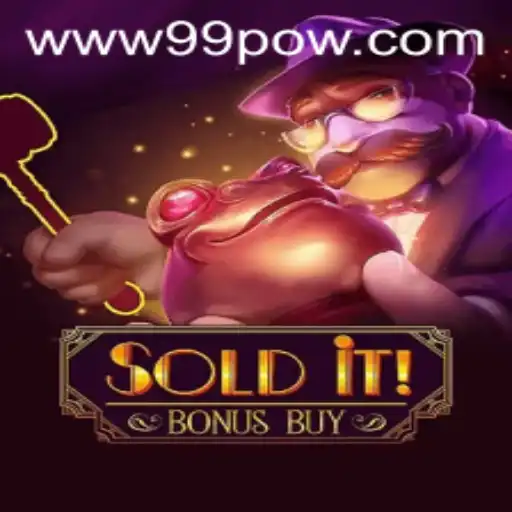 Immerse Yourself in the Dynamic World of SolditBonusBuy